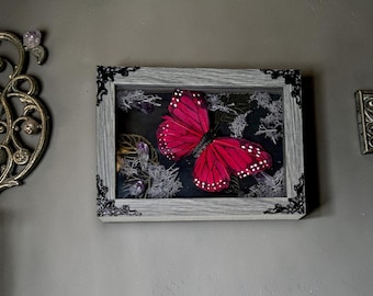 Framed Shadowbox Butterfly
