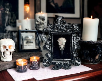 Bird Skull in Black Ornate Frame