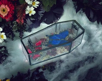 Butterfly and Moss Glass Coffin Terrarium