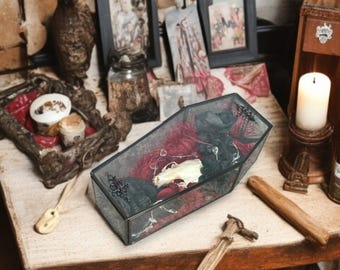 Glass Coffin Terrarium