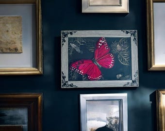Framed Shadowbox Butterfly