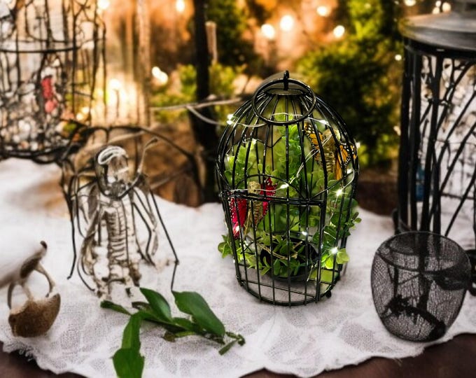 Featured listing image: Yellow-Orange and Red Skele-Fairies in Round Bird Cage