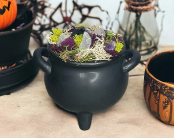 Moss and Crystal Black Cauldron Centerpiece