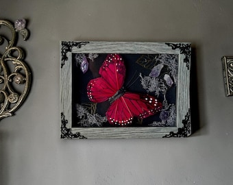 Framed Shadowbox Butterfly