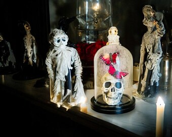 Small Skull with Red Butterflies in a Glass Dome