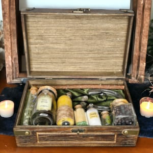 Fairy Hunting Kit