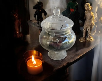 Glass Apothecary Jar Cemetarrium
