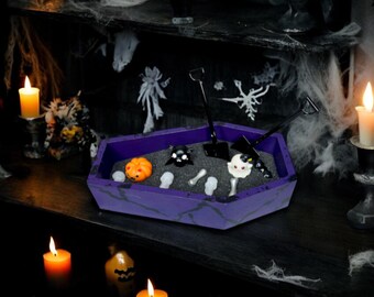 Purple and Black Coffin Zen Garden #1