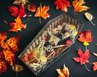 Cemetery Themed Glass Coffin Terrarium