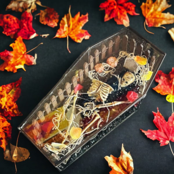 Coffin Terrarium Etsy