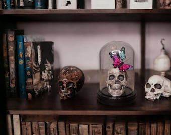 Skull with Light Blue and Hot Pink Butterflies in a Glass Dome