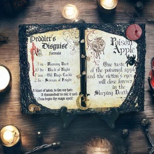 Snow White Themed Open Spell Book