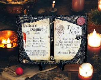 Snow White Themed Open Spell Book