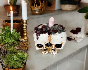 Moss and Crystal Conjoined Skull Centerpiece