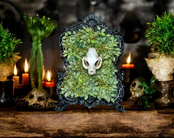 Black Resin Framed Faux Taxidermy with Moss and Greenery