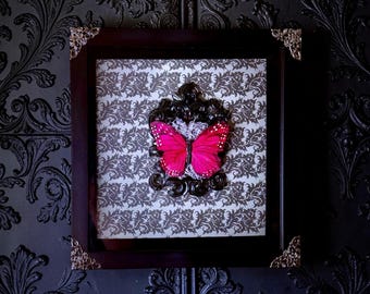 Front opening 14 x 14 Shadowbox with Framed Butterfly