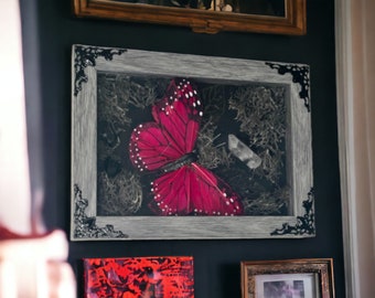 Framed Shadowbox Butterfly