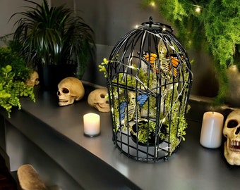 Orange-Yellow and Blue Skele-Fairies in Round Bird Cage