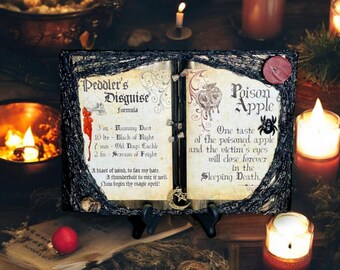 Snow White Themed Open Spell Book