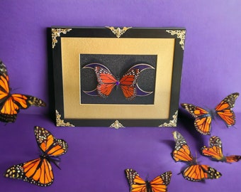 Framed Orange Butterfly and Crescent Moons with Gold Filigree Embellishments