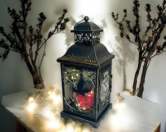 Snow White Themed Lantern with Fairy Lights