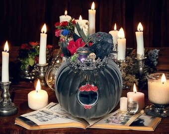 Snow White Pumpkin