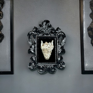 Dragon Skull in Black Ornate Frame
