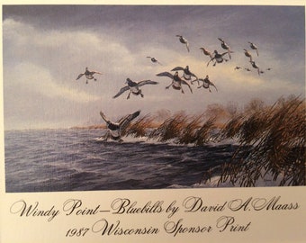 Vintage David Maass Unframed Matted Print Windy Point - Bluebills Ducks 1987