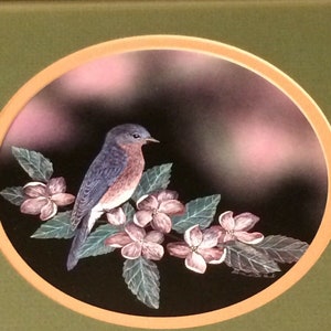 Vintage Framed Scratchboard Bluebird Bird Print Sharon Wald image 2