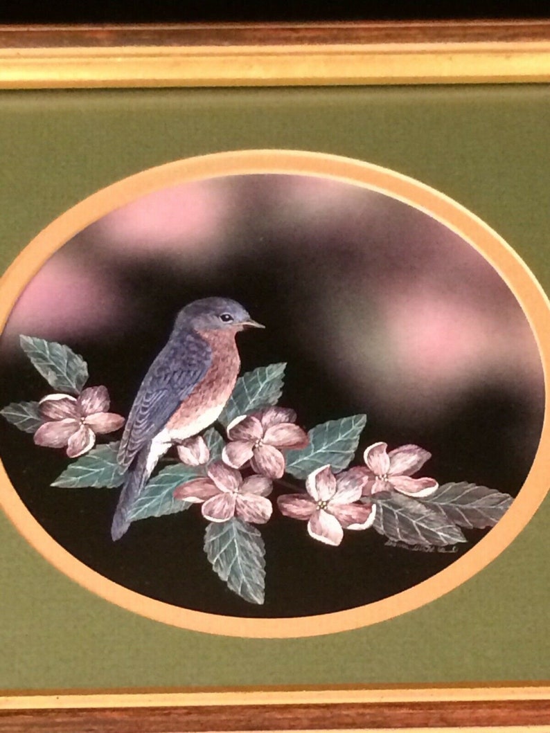 Vintage Framed Scratchboard Bluebird Bird Print Sharon Wald image 2