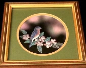 Vintage Framed Scratchboard Bluebird Bird Print Sharon Wald