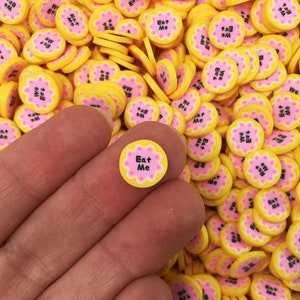 Graines de biscuits Eat Me plus grande, tranches Alice aux merveilles en pâte fimo NON COMESTIBLE, embellissements en résine, pépites Decoden, M222