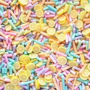 LEMON CRUSH, Pastel Polymer Clay Fake Sprinkles with Lemon Slices, Decoden Funfetti Jimmies, E179