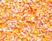 CANDY CORN Halloween Orange Candy Corn Sprinkle Slices, Polymer Clay Fake Sprinkles, Fimo Slices, Decoden Funfetti Jimmies R85