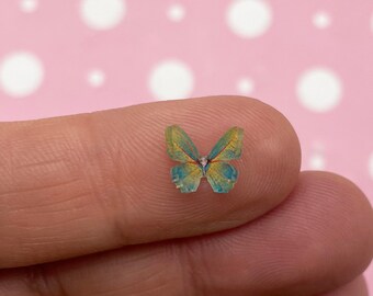 May include: A small, blue and yellow butterfly with brown markings. The butterfly is on a finger.