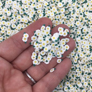 May include: A close-up of a hand holding a pile of white and green daisy-shaped sprinkles. The sprinkles are scattered on a white surface.