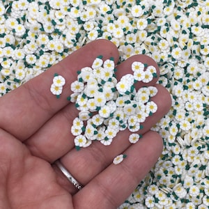 Flower Spring Flowers Daisies Mix Daisy Fimo Slices Fake Sprinkles