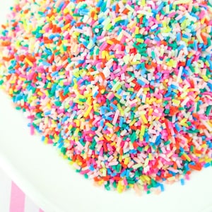 Rainbow Sprinkles Polymer Clay Confetti Sprinkles, Fake Sprinkles, Decoden Funfetti Rainbow Jimmies, E4