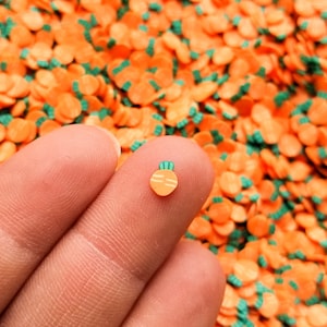 Small Carrot Cane Polymer Clay Sprinkles for Decoden Funfetti - Fimo Vegetable Slices R155