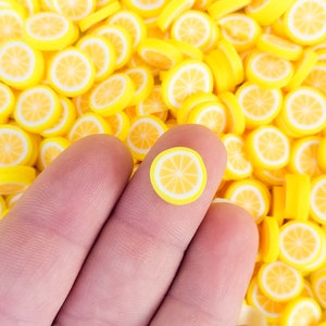 Large Polymer Clay Lemon Fruit Slices, Nail Art Slices, Faux Fruit, Miniature Fruit, R2