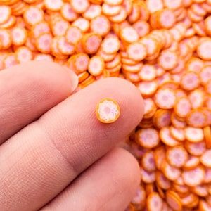 Pode incluir: Close-up de uma única confete em forma de donut laranja e branca. A confete está sendo segurada entre dois dedos. O fundo é um monte grande de confete semelhantes.