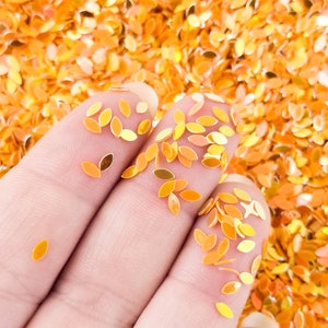 Burnt Orange Iridescent Shift Marquise Glitter, Kawaii Decoden Glitter, Resin Embellishment, Slime Toppings, U147