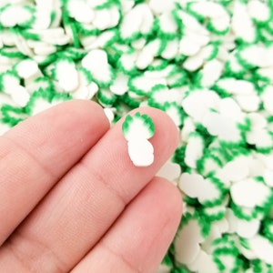 Grandes tranches d'argile polymère de chou nappa, tranches d'art d'ongle végétarien, nourriture en fausse pâte fimo, nourriture miniature confettis dispersés de table, choisissez votre montant R146
