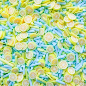 BLUE LAGOON, Pastel Blue Polymer Clay Fake Sprinkles with Lemon Slices, E178