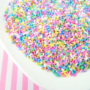 Polymer Clay Fake Faux Sprinkles, Cute Decoden Rainbow Funfetti Jimmies, E5 image 1