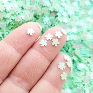 Glitter de flor verde menta pastel iridescente, glitter de flor de cerejeira Sakura Artic Shift, glitter para nail art, decoração, escolha a quantidade, T114