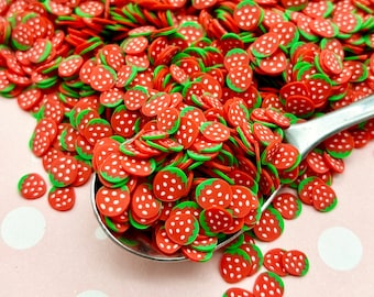 Polymeerklei Aardbeienfruitschijfjes, Nail Art-schijfjes, Faux Fruit, Miniatuurfruit, R29