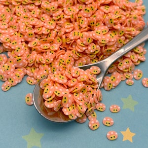Fausses paillettes kawaii en pâte polymère, petits champignons vénéneux, faux mélange pour saupoudrer en pâte fimo, confettis de table en pâte fimo non comestibles pour décorer la table, M60