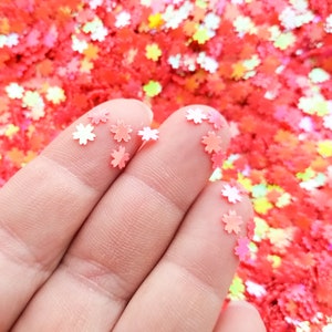 Irisierender Roter Shift Flower Glitter, Artic Shift Sakura Glitter, Nail Art Glitter, Deko, Flower Glitter, Wählen Sie Ihre Menge, T109