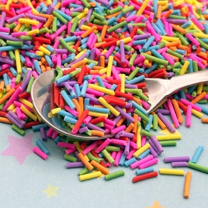 RAINBOW MIX Polymer Clay Fake Sprinkles, Decoden Funfetti Rainbow Jimmies E1